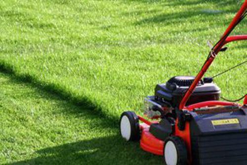 Gartenpglege und Landschaftspflege in Wiesbaden